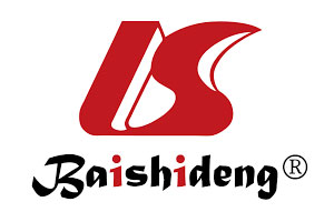 Baishideng